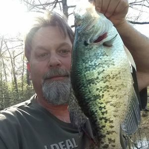 Meet your Posher, Troy dale